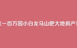 快手粉丝一百万0.01园小白龙马山肥大地房产装修网站,QQ红钻卡盟 - qq业务自助 - 子潇网络平台是合法吗