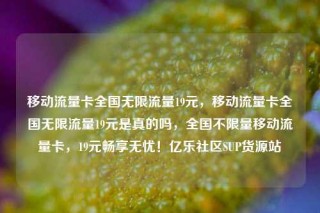 移动流量卡全国无限流量19元，移动流量卡全国无限流量19元是真的吗，全国不限量移动流量卡，19元畅享无忧！亿乐社区SUP货源站