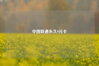 中国联通永久9元卡