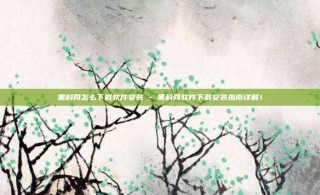 黑科网怎么下载软件安装 - 黑科网软件下载安装指南详解！