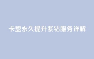 卡盟永久提升紫钻服务详解