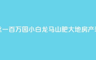 快手粉丝一百万0.01园小白龙马山肥大地房产装修网站,黑科网怎么下载软件安装 - 在线下单自助 - QQ空间浏览次数代刷