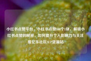 小红书点赞平台，小红书点赞100个1块，解锁小红书点赞的秘密，如何提升个人影响力与关注度亿乐社区SUP货源站