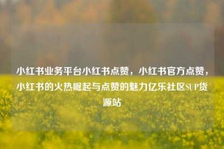 小红书业务平台小红书点赞，小红书官方点赞，小红书的火热崛起与点赞的魅力亿乐社区SUP货源站