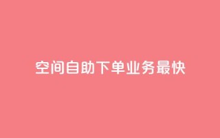 空间自助下单业务最快,快手业务全网最低价 - 粉丝下单链接 - ks保不掉粉丝