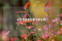 小红书做笔记是干什么的