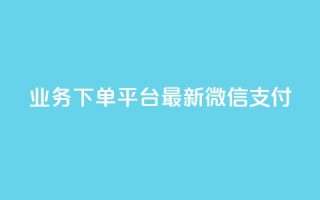KS业务下单平台最新微信支付,24小时抖音业务低价 - 代刷抖音1元10万粉可靠吗 - 业务自助下单网站官网
