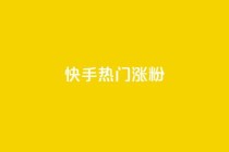 快手热门涨粉APP - 热门快手涨粉软件的新冠军！