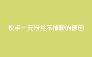 快手一元1w粉丝不掉粉的原因,快手抖音免费播放量网站 - 免费业务网 - 网站刷亲密度打call