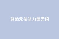 赞助ks1元200，希望力量无限