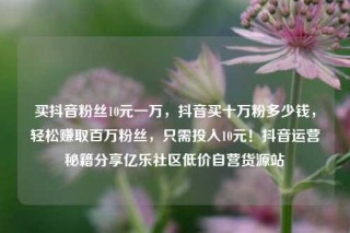 买抖音粉丝10元一万，抖音买十万粉多少钱，轻松赚取百万粉丝，只需投入10元！抖音运营秘籍分享亿乐社区低价自营货源站
