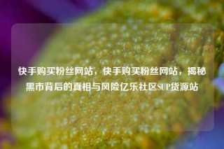 快手购买粉丝网站，快手购买粉丝网站，揭秘黑市背后的真相与风险亿乐社区SUP货源站