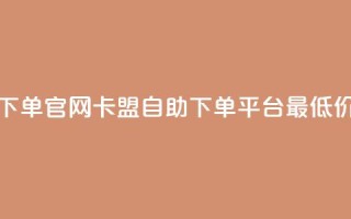 卡盟最低自助下单官网 - 卡盟自助下单平台最低价格介绍！