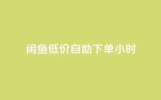 闲鱼低价自助下单24小时,一元秒杀 - dy24小时自助业务下单超稳定 - 快手业务在线下单平台全网最低