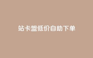 b站卡盟低价自助下单,QQ低价空间点赞 - 卡盟商城 - 抖音巨量千川怎么开通