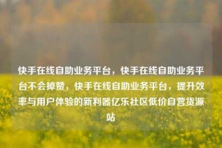 快手在线自助业务平台，快手在线自助业务平台不会掉赞，快手在线自助业务平台，提升效率与用户体验的新利器亿乐社区低价自营货源站
