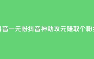 抖音一元1000粉(抖音神助攻：1元赚取1000个粉丝)
