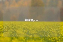 阅读量pv uv