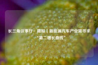 长三角议事厅·周报｜新能源汽车产业需寻求“第二增长曲线”