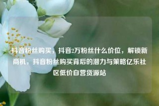 抖音粉丝购买，抖音2万粉丝什么价位，解锁新商机，抖音粉丝购买背后的潜力与策略亿乐社区低价自营货源站