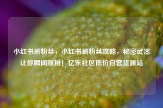 小红书刷粉丝，小红书刷粉丝攻略，秘密武器让你瞬间涨粉！亿乐社区低价自营货源站