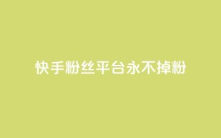 快手粉丝平台+永不掉粉,刷粉每天都掉粉正常吗 - 抖音涨一个粉丝几块钱 - qq空间人气精灵手机版下载