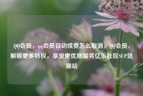 QQ会员，qq会员自动续费怎么取消，QQ会员，解锁更多特权，享受更优质服务亿乐社区SUP货源站