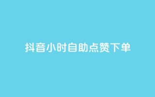 抖音24小时自助点赞下单,卡盟一手货源网站 - 云商城在线下单 - 卡盟刷svip永久
