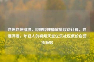 哔哩哔哩播放，哔哩哔哩播放量收益计算，哔哩哔哩，年轻人的视频天堂亿乐社区低价自营货源站