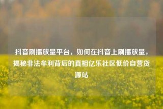 抖音刷播放量平台，如何在抖音上刷播放量，揭秘非法牟利背后的真相亿乐社区低价自营货源站