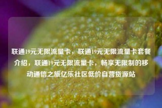 联通19元无限流量卡，联通19元无限流量卡套餐介绍，联通19元无限流量卡，畅享无限制的移动通信之旅亿乐社区低价自营货源站