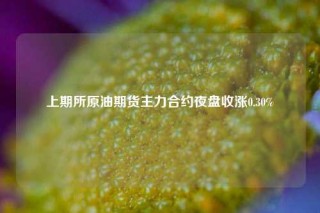 上期所原油期货主力合约夜盘收涨0.30%