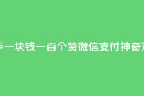 快手一块钱一百个赞微信支付神奇活动