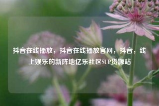 抖音在线播放，抖音在线播放官网，抖音，线上娱乐的新阵地亿乐社区SUP货源站