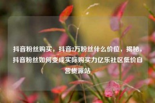 抖音粉丝购买，抖音2万粉丝什么价位，揭秘，抖音粉丝如何变成实际购买力亿乐社区低价自营货源站
