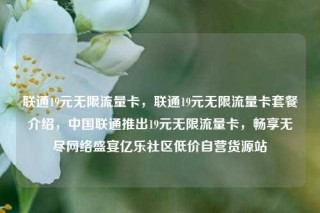 联通19元无限流量卡，联通19元无限流量卡套餐介绍，中国联通推出19元无限流量卡，畅享无尽网络盛宴亿乐社区低价自营货源站