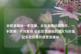 社区货源站一手货源，社区货源站超低价，一手货源，共创繁荣 论社区货源站的意义与价值亿乐社区低价自营货源站