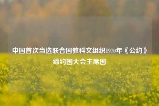 中国首次当选联合国教科文组织1970年《公约》缔约国大会主席国