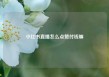 小红书直播怎么点赞付钱嘛