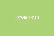 qq点赞有什么用,低价卡盟全网低价科技 - ks平台是哪个平台 - Dy免费业务平台