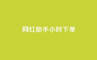 网红助手24小时下单,一元10个赞快手微信支付 - 拼多多自动助力脚本 - pdd推金币助力