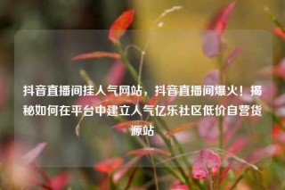抖音直播间挂人气网站，抖音直播间爆火！揭秘如何在平台中建立人气亿乐社区低价自营货源站