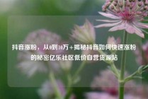 抖音涨粉，从0到10万+揭秘抖音如何快速涨粉的秘密亿乐社区低价自营货源站