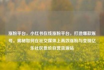 涨粉平台，小红书在线涨粉平台，打造爆款账号，揭秘如何在社交媒体上高效涨粉与变现亿乐社区低价自营货源站