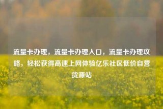 流量卡办理，流量卡办理入口，流量卡办理攻略，轻松获得高速上网体验亿乐社区低价自营货源站