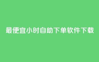 最便宜24小时自助下单软件下载,dy免费24小时下单平台 - 全网最低价卡盟 - 抖音低价网