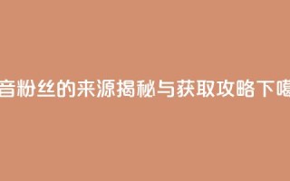 抖音粉丝的来源揭秘与获取攻略