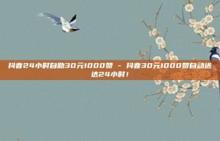 抖音24小时自助30元1000赞 - 抖音30元1000赞自动送达24小时！