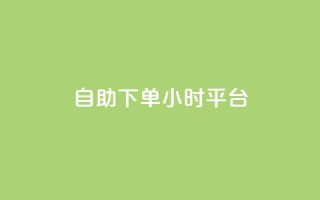 自助下单24小时平台 - 全天候在线自助下单服务!