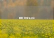 超低价业务平台